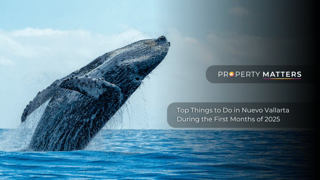 Top Things to Do in Nuevo Vallarta During the First Months of 2025
