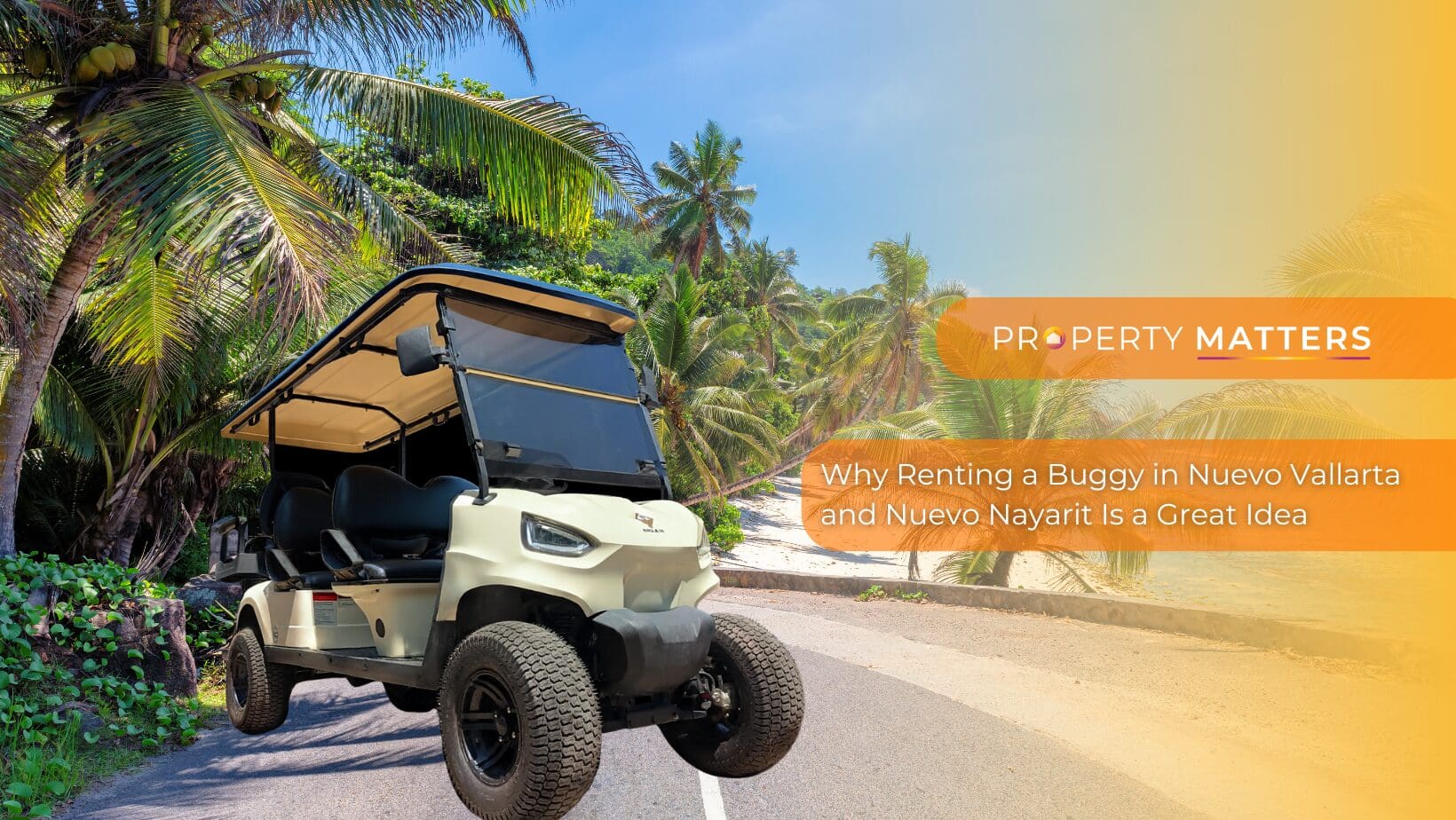 Exploring Nuevo Vallarta and Nuevo Nayarit is easier, faster, and more fun when you rent a buggy.